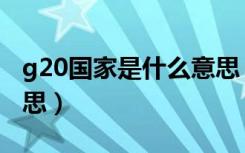 g20国家是什么意思（g20国家具体是什么意思）