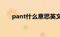 pant什么意思英文（pant什么意思）