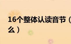 16个整体认读音节（16个整体认读音节是什么）