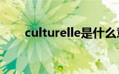 culturelle是什么意思（culturelle）