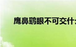 鹰鼻鹞眼不可交什么意思（鹰鼻鹞眼）