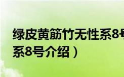 绿皮黄筋竹无性系8号（关于绿皮黄筋竹无性系8号介绍）