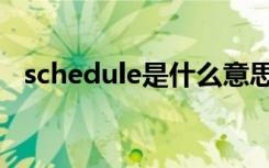 schedule是什么意思（schedule的含义）