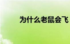 为什么老鼠会飞（老鼠会飞原因）