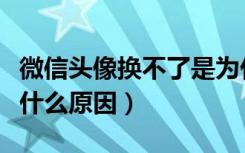 微信头像换不了是为什么（微信头像换不了是什么原因）