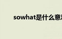 sowhat是什么意思（sowhat翻译）