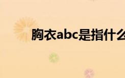 胸衣abc是指什么（胸衣abc解释）