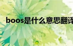 boos是什么意思翻译（boos是什么意思）