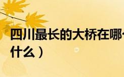 四川最长的大桥在哪个市（四川最长的大桥叫什么）