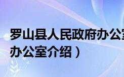 罗山县人民政府办公室（关于罗山县人民政府办公室介绍）