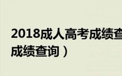 2018成人高考成绩查询系统（2018成人高考成绩查询）