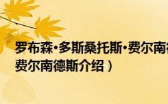 罗布森·多斯桑托斯·费尔南德斯（关于罗布森·多斯桑托斯·费尔南德斯介绍）