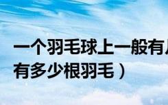 一个羽毛球上一般有几只羽毛（标准的羽毛球有多少根羽毛）