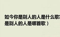 如今你是别人的人是什么歌怎能打扰你的安稳（歌词如今你是别人的人是哪首歌）