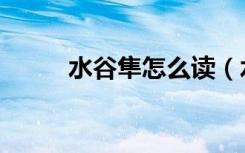 水谷隼怎么读（水谷隼人物介绍）