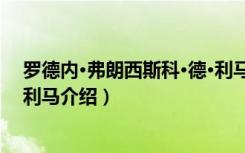 罗德内·弗朗西斯科·德·利马（关于罗德内·弗朗西斯科·德·利马介绍）