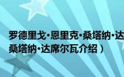 罗德里戈·恩里克·桑塔纳·达席尔瓦（关于罗德里戈·恩里克·桑塔纳·达席尔瓦介绍）