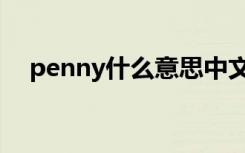 penny什么意思中文（penny意思介绍）