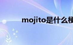 mojito是什么梗（mojito解释）