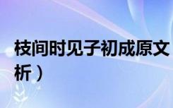 枝间时见子初成原文（枝间时见子初成原文赏析）