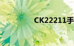 CK22211手表（ck222）