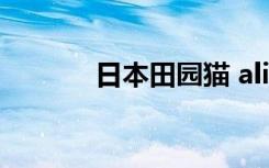 日本田园猫 ali（日本田园猫）