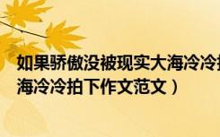 如果骄傲没被现实大海冷冷拍下作文（如果骄傲没被现实大海冷冷拍下作文范文）