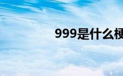 999是什么梗（999解释）