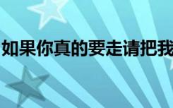 如果你真的要走请把我的相片还给我是什么歌