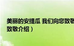 美丽的安提瓜 我们向您致敬（关于美丽的安提瓜 我们向您致敬介绍）