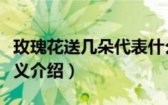 玫瑰花送几朵代表什么（玫瑰花送几朵代表含义介绍）