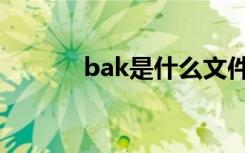 bak是什么文件（bak的文件）