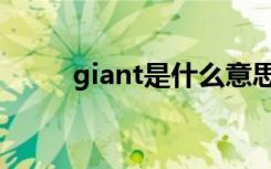 giant是什么意思（giant的解释）