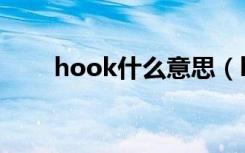 hook什么意思（hook是什么意思）