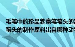 毛笔中的珍品紫毫笔笔头的制作原料出自哪种动物（紫毫笔笔头的制作原料出自哪种动物）