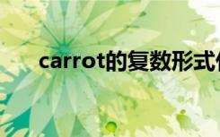 carrot的复数形式什么（详细说一下）