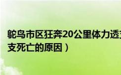 鸵鸟市区狂奔20公里体力透支死亡（鸵鸟狂奔20公里体力透支死亡的原因）