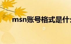 msn账号格式是什么（msn账号格式）