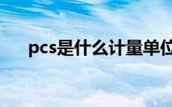 pcs是什么计量单位（pcs是什么意思）