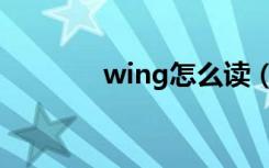 wing怎么读（wing的意思）