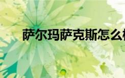 萨尔玛萨克斯怎么样（萨尔玛萨克斯）