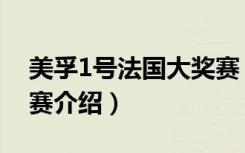 美孚1号法国大奖赛（关于美孚1号法国大奖赛介绍）