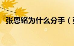 张恩铭为什么分手（张铭恩回应感情争议）