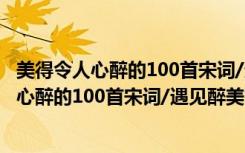 美得令人心醉的100首宋词/遇见醉美古诗词（关于美得令人心醉的100首宋词/遇见醉美古诗词介绍）