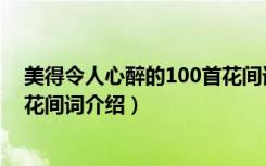 美得令人心醉的100首花间词（关于美得令人心醉的100首花间词介绍）