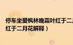 停车坐爱枫林晚霜叶红于二月花意思（停车坐爱枫林晚霜叶红于二月花解释）