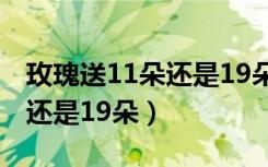 玫瑰送11朵还是19朵百度贴吧（玫瑰送11朵还是19朵）