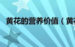 黄花的营养价值（黄花的功效及生长习性）