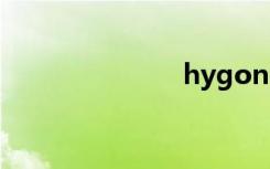 hygon（hyg）