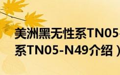 美洲黑无性系TN05-N49（关于美洲黑无性系TN05-N49介绍）